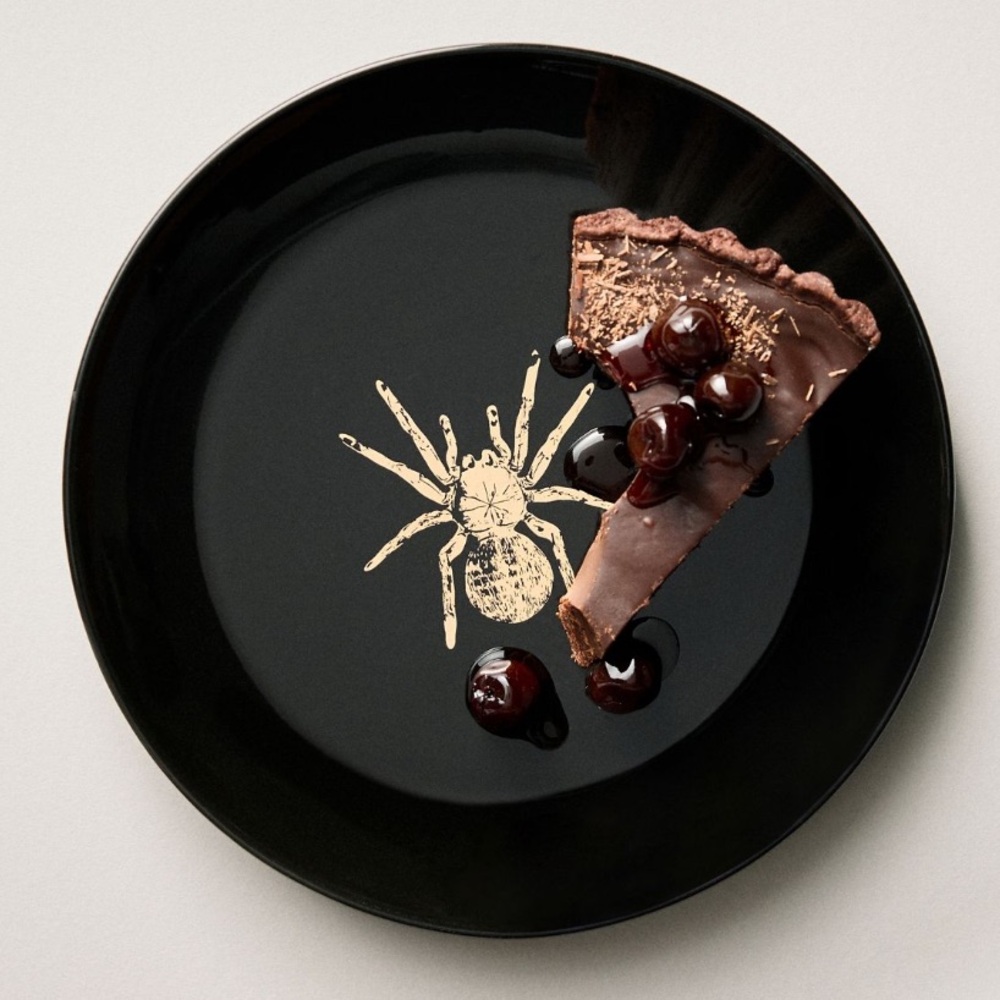 NIB | Anthropologie Catherine Martin Spider Plate